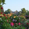 Kasteel Ippenburg in Bad Essen Tuin met rozen bij het Kasteel Ippenburg in Bad Essen in het Osnabrücker LandHistorisches Schloss im Hintergrund, Vordergrund mit bunten Blumen im Park.Historic castle in the background, foreground with colorful flowers in the park.Historisk slot i baggrunden, forgrund med farverige blomster i parken.