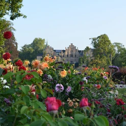 Schloss Ippenburg Historic castle in the background, foreground with colorful flowers in the park.