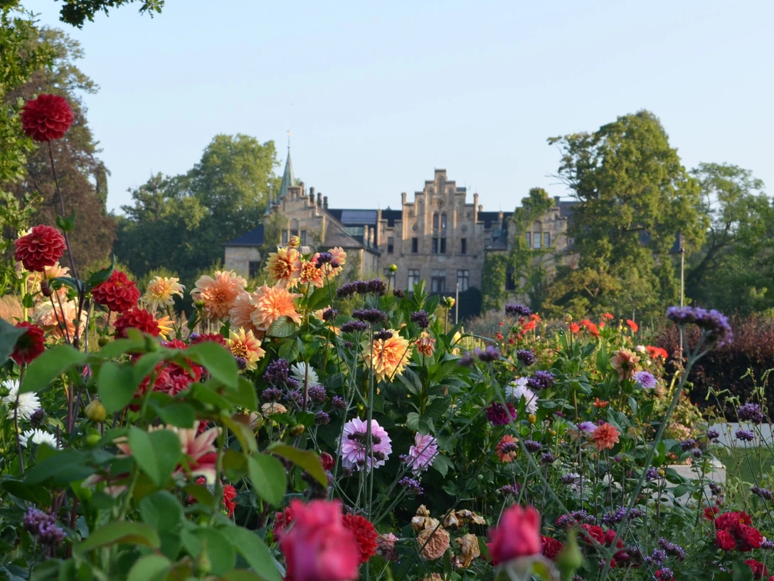 Schloss Ippenburg Tuin met rozen bij het Kasteel Ippenburg in Bad Essen in het Osnabrücker LandHistorisches Schloss im Hintergrund, Vordergrund mit bunten Blumen im Park.Historic castle in the background, foreground with colorful flowers in the park.Historisk slot i baggrunden, forgrund med farverige blomster i parken.