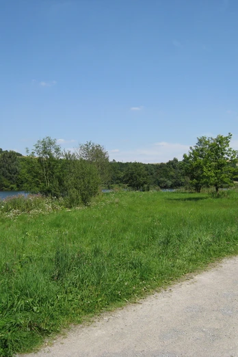 image Weißer Kiesweg schlängelt sich durch grünes Grasland, vorbei an einem See mit Bäumen unter blauem Himmel.