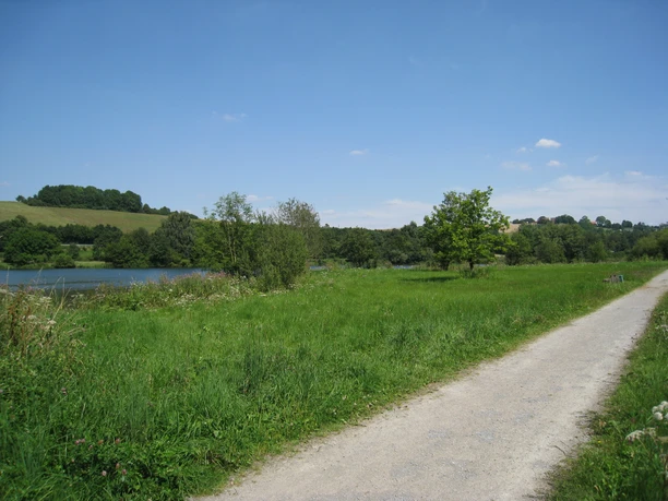 image Weißer Kiesweg schlängelt sich durch grünes Grasland, vorbei an einem See mit Bäumen unter blauem Himmel.