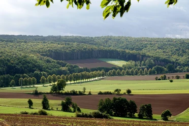 Ausblick Nesselröder Warte ausblick-nesselröder-warte