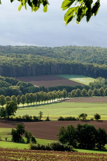 Ausblick Nesselröder Warte ausblick-nesselröder-warte