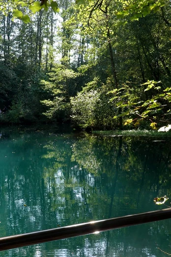 Rhumequelle rhumequelle