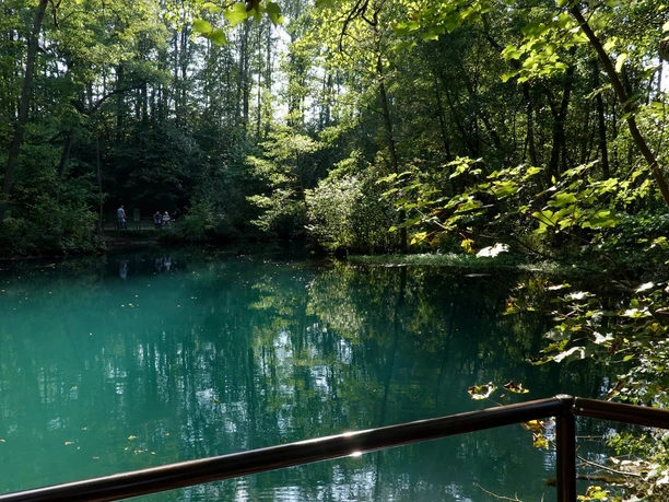 Rhumequelle rhumequelle