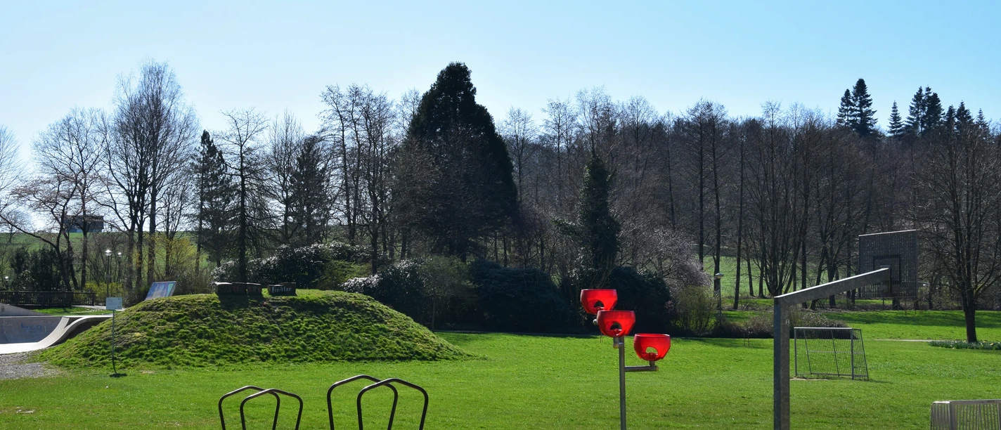 Spielplatz im Freizeitpark <p>Grüne Parklandschaft mit Hügeln, Skatepark und rotem Basketballkorb unter klarem Himmel.</p>