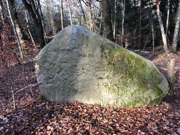 Krähentour Findling Orkan 1972 Ein großer Findling mit der Inschrift "Orkan 1972" steht im herbstlich bewaldeten Umfeld.