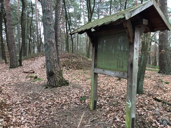 Holzwegweiser in bewaldeter Umgebung, weist auf historische Hügelgräber im Stöckser Forst hin.