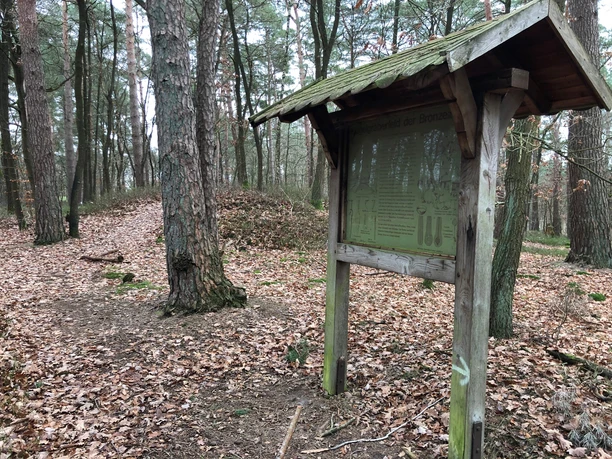 Hügelgräber Stöckse Holzwegweiser in bewaldeter Umgebung, weist auf historische Hügelgräber im Stöckser Forst hin.