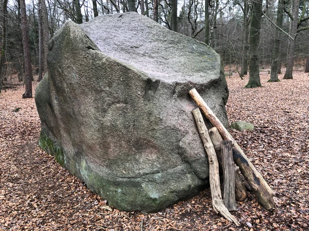 Ein großer Felsbrocken liegt im lichten Herbstwald, gestützt von mehreren abgestorbenen Holzstämmen.