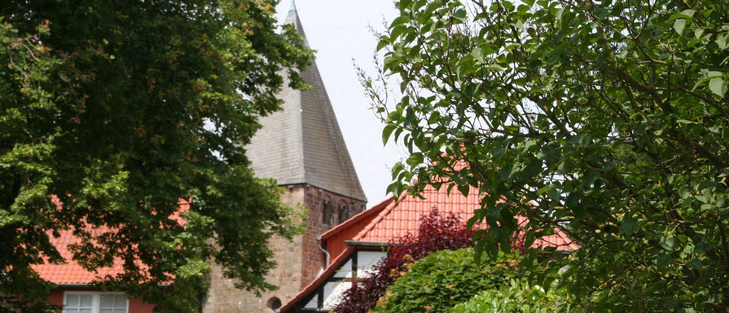 Ein Kirchturm ragt zwischen üppigen Bäumen hervor, umgeben von roten Ziegeldächern in ländlicher Kulisse.