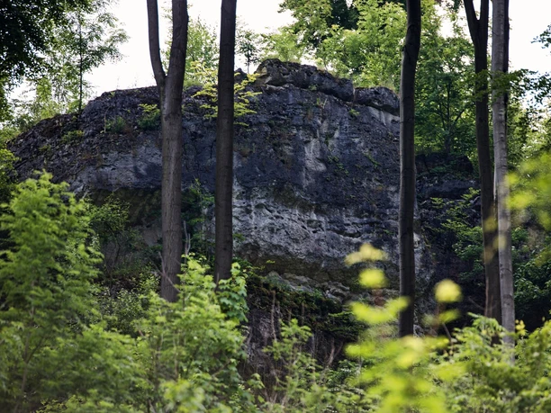 selterklippen-gestein