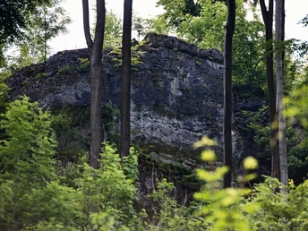 Selterklippen-Gestein selterklippen-gestein