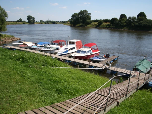 A river dock with several boats moored to it, surrounded by a green meadow and trees.