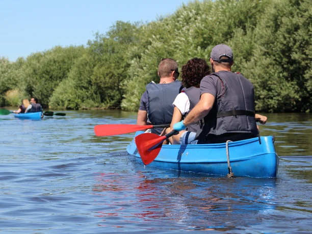 Menschen paddeln in blauen Kanus auf einem ruhigen Fluss, gesäumt von üppigem grünem Uferbewuchs.