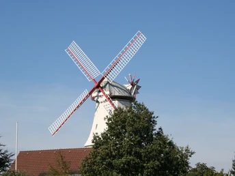 Historische Windmühle Jan Wind in Etelsen, umgeben von grünen Bäumen und strahlend blauem Himmel.