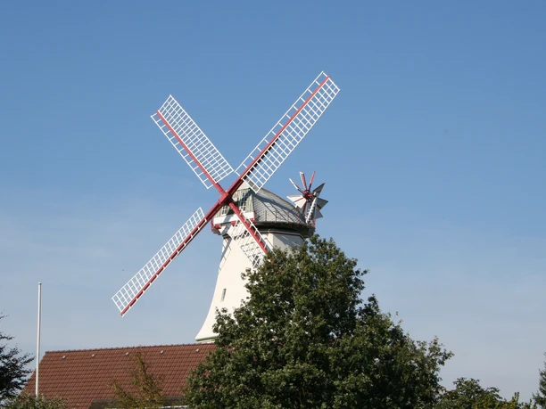 Historische windmolen Jan Wind in Etelsen, omringd door groene bomen en een helderblauwe lucht.