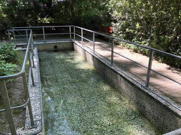 Kneippbecken Heiligenberg Kneippbecken aus Beton mit Geländer im Wald, umgeben von Bäumen und einer roten Bank im Hintergrund.