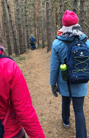 Zwei Wanderer in bunten Jacken laufen auf einem Waldweg durch dichten, hochgewachsenen Kiefernwald.