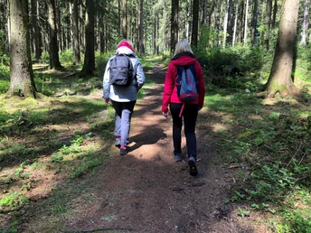 Zwei Personen spazieren auf einem sonnenbeschienenen Waldweg, umgeben von hohen Nadelbäumen.