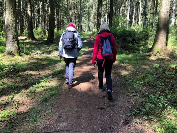 Two people are walking along a sunlit forest path, surrounded by tall conifers.