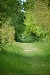 Heilpflanzenlehrpfad