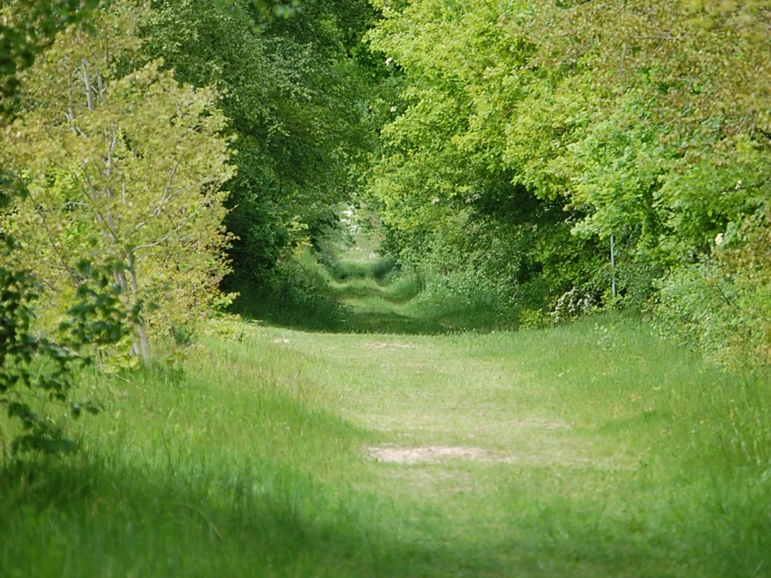 Heilpflanzenlehrpfad