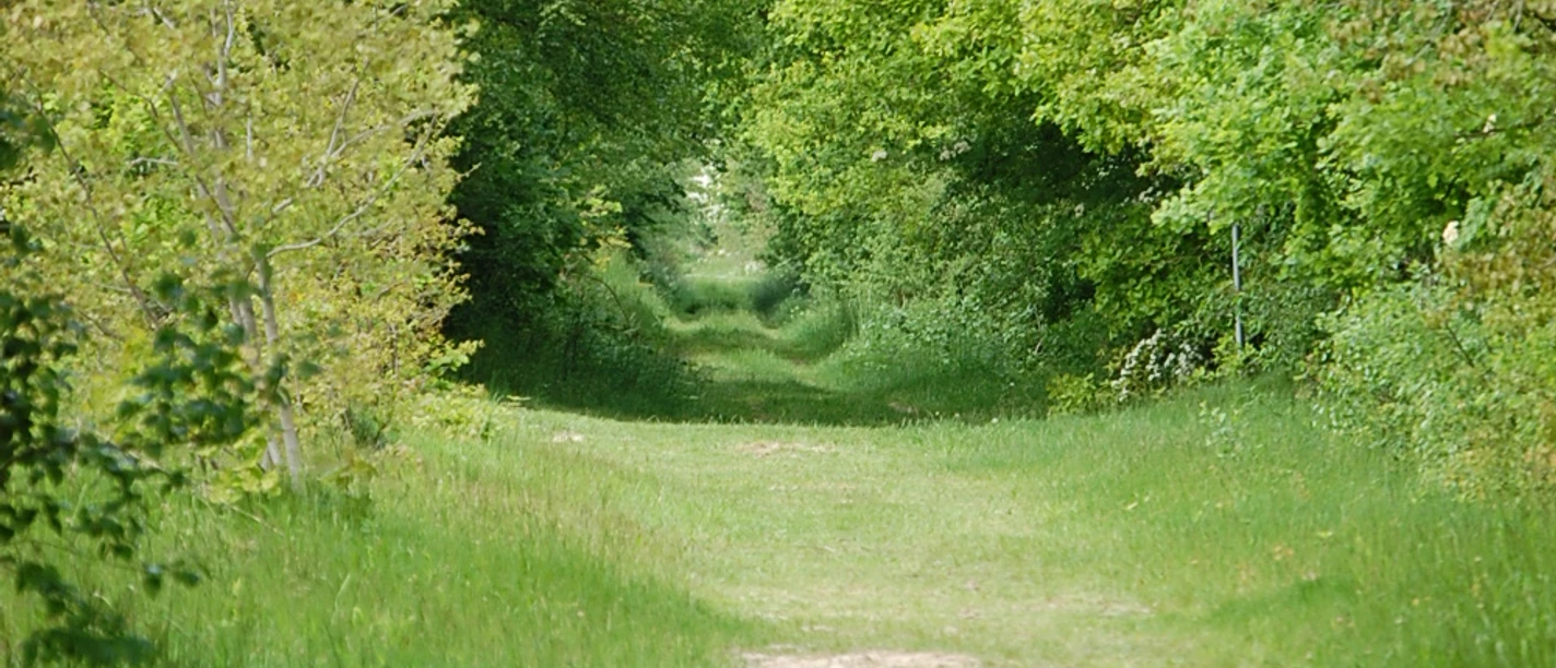 Heilpflanzenlehrpfad