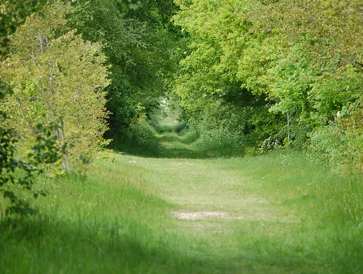 Heilpflanzenlehrpfad