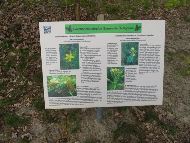 Heilpflanzenlehrpfad