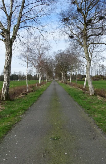 Heilpflanzenlehrpfad