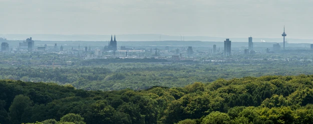 Odenthal Aussicht auf Kölns Skyline mit Dom und Fernsehturm im Hintergrund, Wälder im Vordergrund.