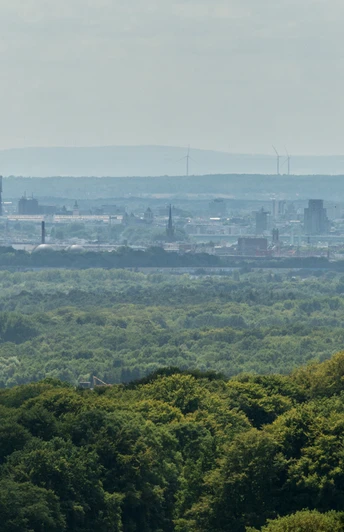Odenthal Aussicht auf Kölns Skyline mit Dom und Fernsehturm im Hintergrund, Wälder im Vordergrund.