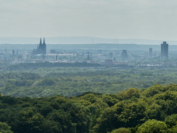 Odenthal Aussicht auf Kölns Skyline mit Dom und Fernsehturm im Hintergrund, Wälder im Vordergrund.