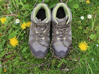 Wanderschuhe Zwei Wanderschuhe stehen auf grüner Wiese, umgeben von kleinen gelben Blumen und weißen Blüten.
