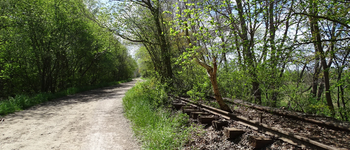 Bahnradweg Ovelgönne