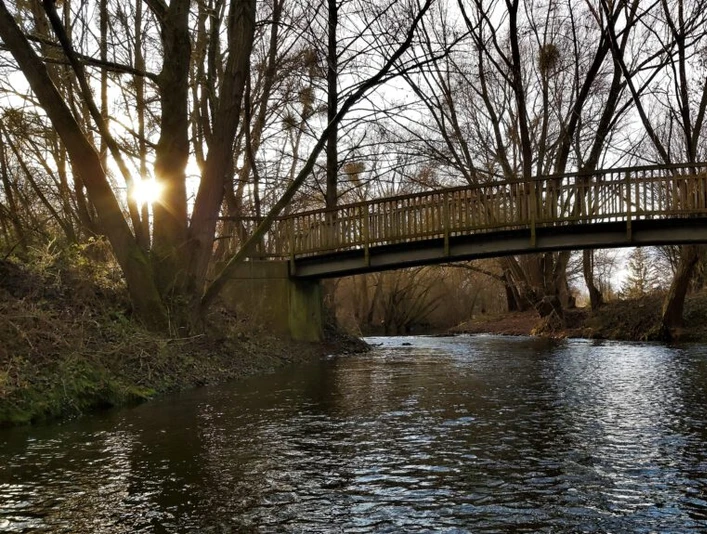 Fischereiverein Einbeck e. V._Wintersonne an der Ilme fischereiverein-einbeck-e-v-wintersonne-an-der-ilme