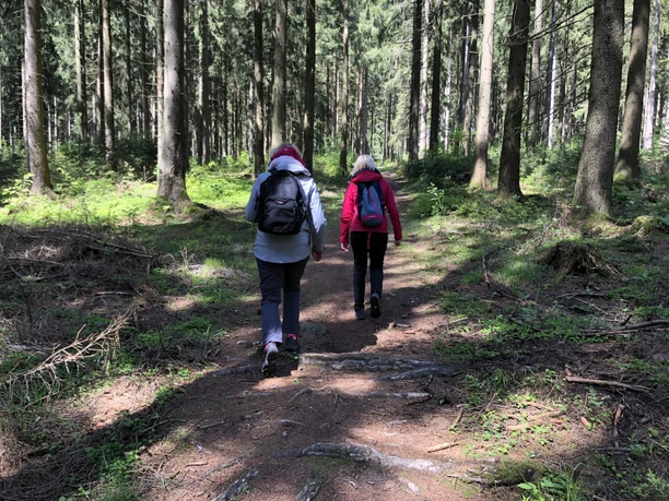 Wandern Zwei wandernde Personen mit Rucksäcken folgen einem Waldpfad unter hohen, grünen Bäumen.