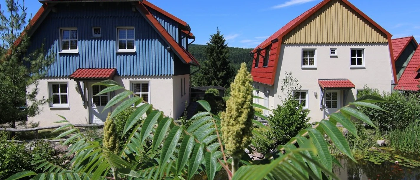 Hasseroeder-Ferienpark-Wernigerode-Ferienhaeuser.jpg Hasseröder Ferienpark - Ferienhäuser Sommer