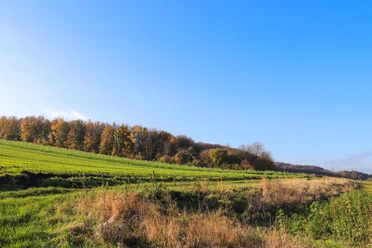 Stemweder Berg