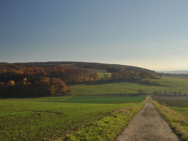 Blick auf Weg mit den Stemweder Bergen im Hintergrund