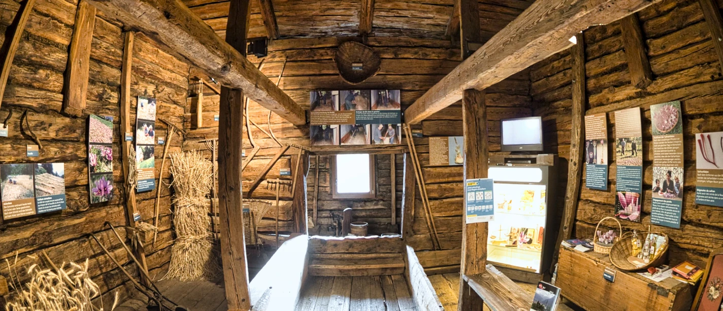 Das erste Safranmuseum der Schweiz liegt in Mund. Das erste Safranmuseum der Schweiz liegt in Mund.