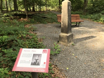 Holzbank und Gedenkstein im Wald mit Infotafel über Marien-Platz auf einem Schotterweg bei Sonnenschein.Wooden bench and memorial stone in the forest with information board about Marien-Platz on a gravel path in the sunshine.Træbænk og mindesten i skoven med informationstavle om St Mary's Square på en grussti i solskin.Houten bank en gedenksteen in het bos met informatiebord over St Mary's Square op een grindpad in de zon.
