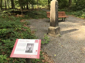 Hist. Promenaden Bad Rehburg Holzbank und Gedenkstein im Wald mit Infotafel über Marien-Platz auf einem Schotterweg bei Sonnenschein.Wooden bench and memorial stone in the forest with information board about Marien-Platz on a gravel path in the sunshine.Træbænk og mindesten i skoven med informationstavle om St Mary's Square på en grussti i solskin.Houten bank en gedenksteen in het bos met informatiebord over St Mary's Square op een grindpad in de zon.