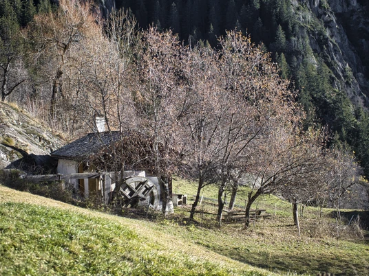 Bakehouse Wichje Backhaus WichjeBakehouse Wichje