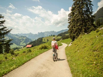 stockhorn-trotti-bike-talfahrt-aussicht-simmental-sommer-landschaft.jpg