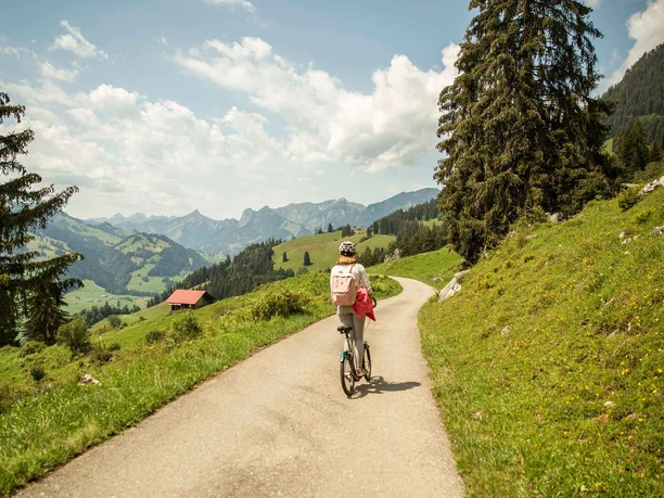 stockhorn-trotti-bike-talfahrt-aussicht-simmental-sommer-landschaft.jpg