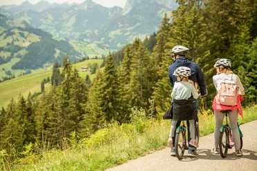stockhorn-trotti-bike-familie-talfahrt-paus-aussicht.jpg