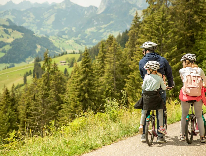 stockhorn-trotti-bike-familie-talfahrt-paus-aussicht.jpg