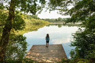 Herrenteich <p>Ein Kind steht auf einem Holzsteg, blickt über einen ruhigen See, umgeben von grüner Natur.</p>